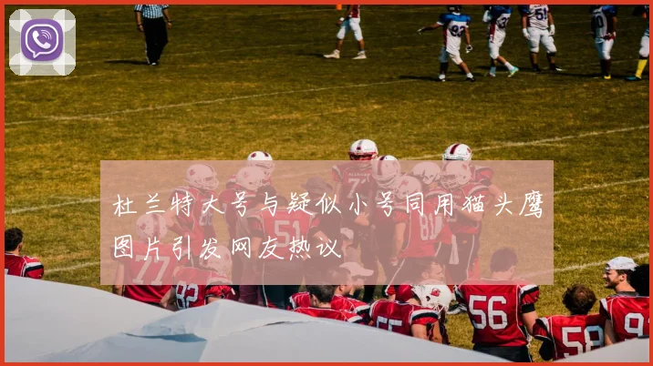 杜兰特大号与疑似小号同用猫头鹰图片引发网友热议