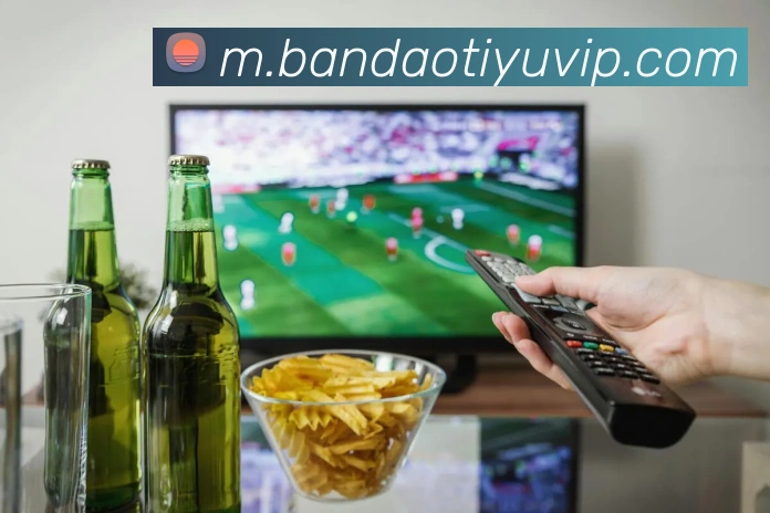 半岛体育平台生态图